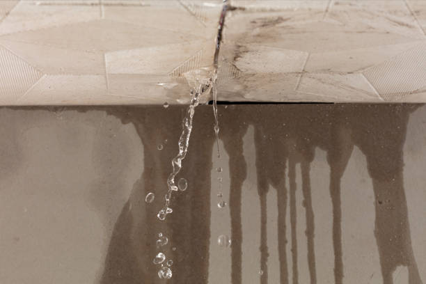 Professional Burst Pipe Cleanup technician working in Spruce Head, ME